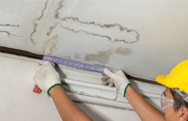 Reliable Mold Remediation contractor in Saline, MI by Water Damage Irwin